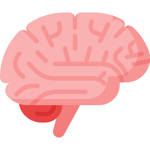 Enhanced cognitive function and mental clarity